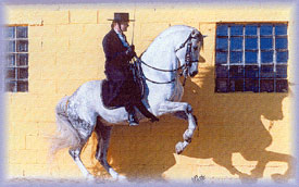 Huron ridden Doma Vaquera
